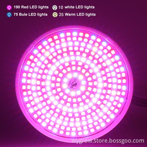 Use Regular Light bulbs as grow lights